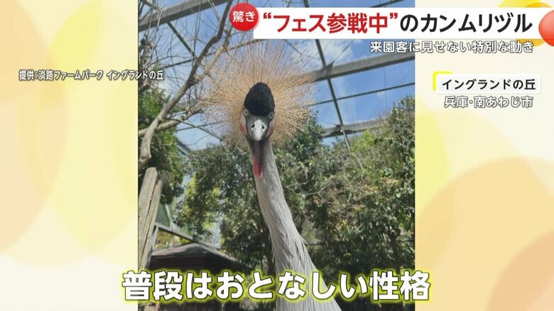 普段はおとなしい性格のつゆ