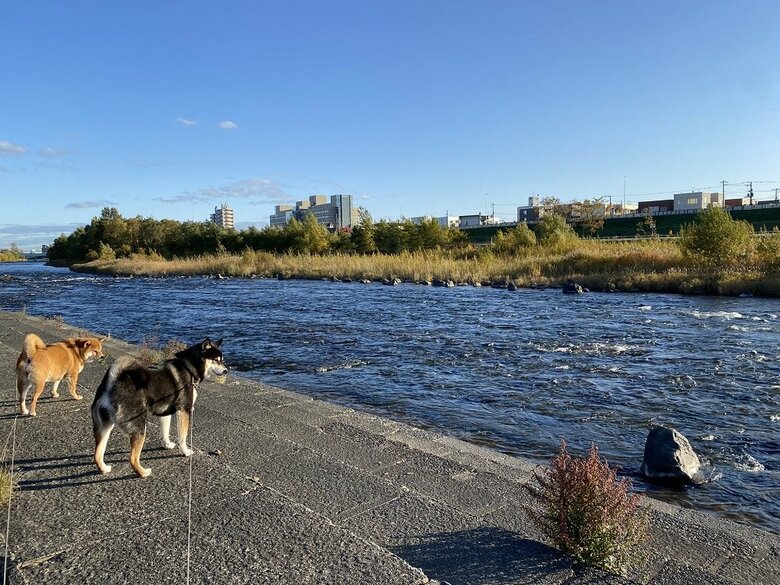 川を眺めている