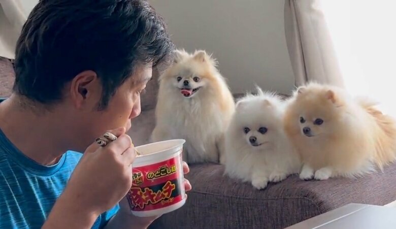 パパの食べているラーメンに熱い視線…