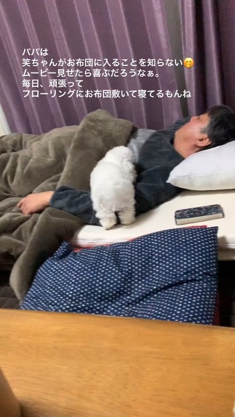 提供：＠tanaka.akemi1225