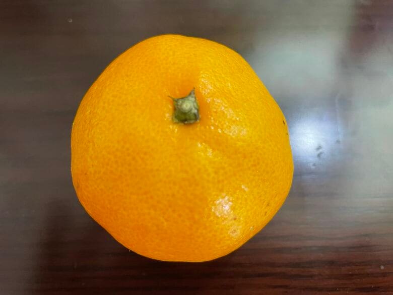 ミカンと隔離・・。結びつけるのは至難の業だ。