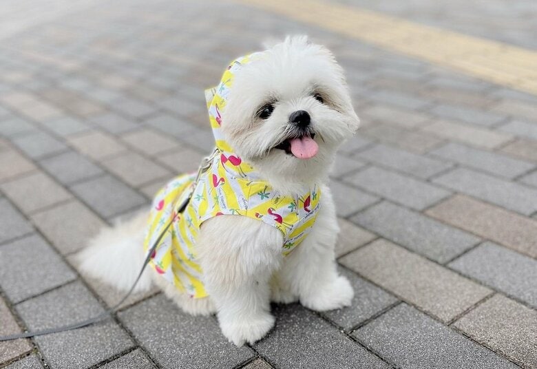 小雨の日はカッパを着用