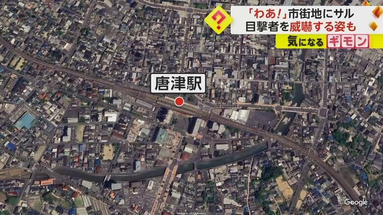 サルが現れたJR唐津駅周辺の上空からの様子