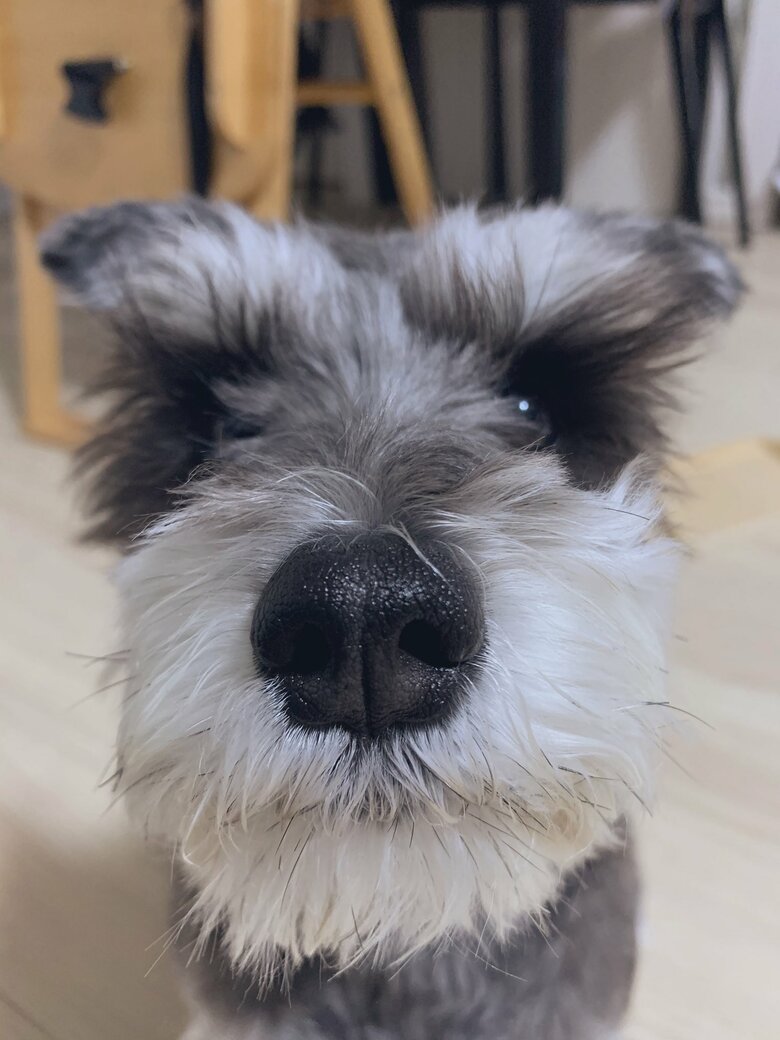 提供：くぅさん