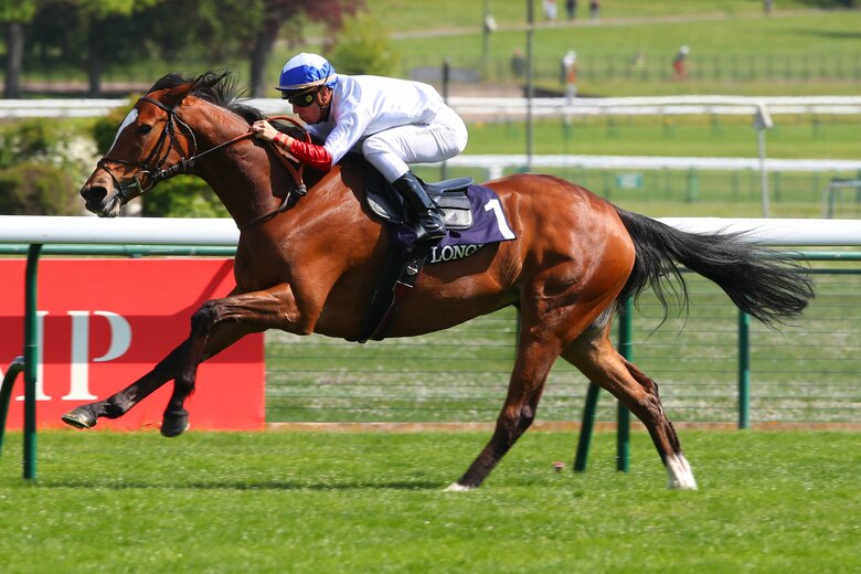 グランドグローリ―©Scoopdyga