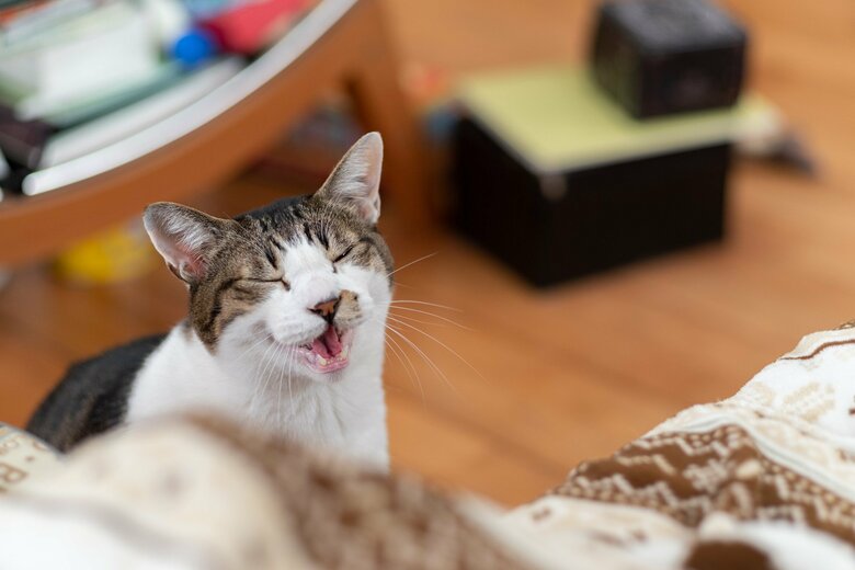 （画像はイメージ）