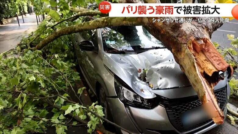 フランスを襲った豪雨によって倒木の下敷きになった車