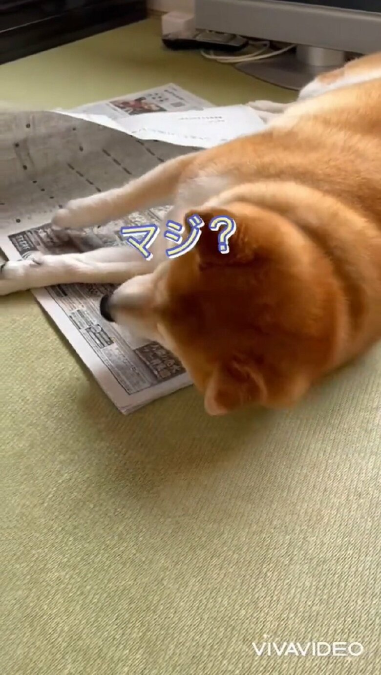 「マジ？」とおばあちゃんの方を確認