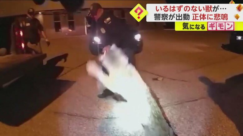 警察官によって引っ張り出された獣（Portage County Sheriff's Office Sheriff Mike Lucas） 
