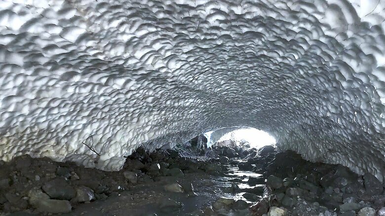 アーチ天井には独特の模様が