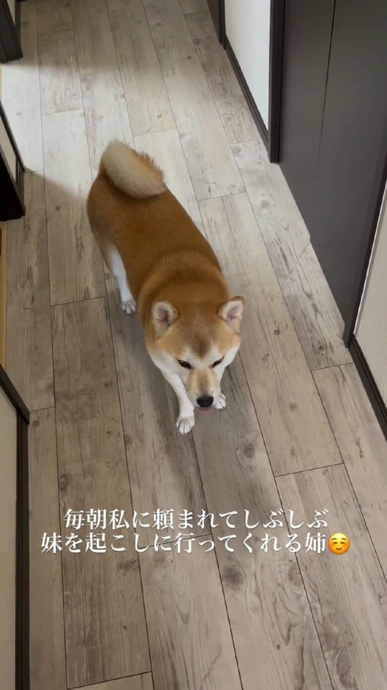 少し眠たそう