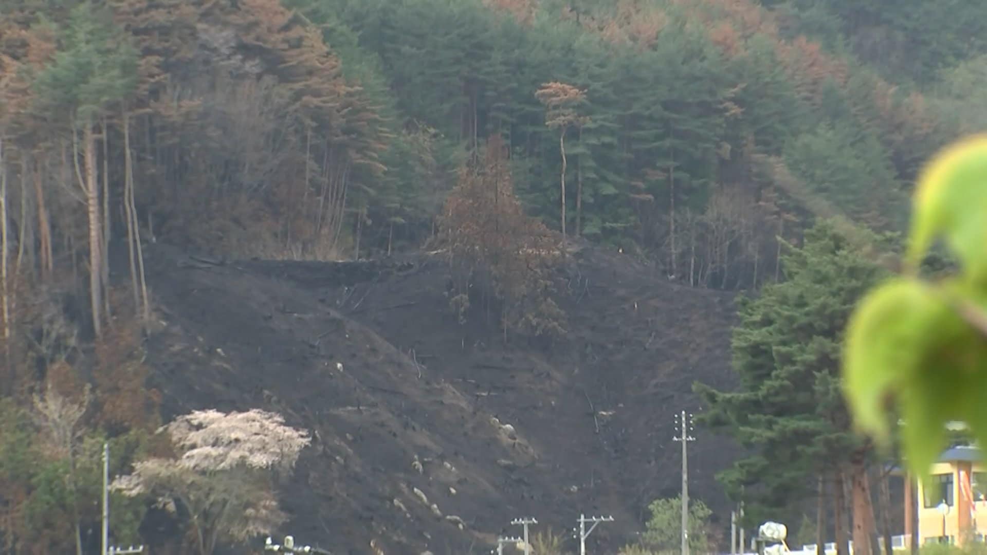 多くの地区で避難指示解除へ　岩手・山林火災 発生から1週間