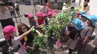 園児が警察署で七夕の飾り付け　防犯や交通安全への願い込め　岩手・岩手町