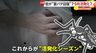 夏の天敵「蚊」も“夏バテ”猛暑落ち着く9月中旬以降に活発化か　対策は「薄い色・明るい色の服やハンディーファン」【ソレどう】