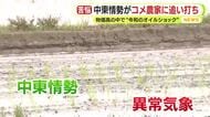 田植えシーズン到来も中東情勢が追い打ち　「おいしい米を作るとなるとやめることができないことがある」　物価高の中で“令和のオイルショック”