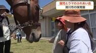 「乗っていたところがフワフワ」　滑川の保育園でウマとのふれあい会、午年に一層盛り上がる