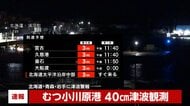 【速報】北海道でも津波観測…小川原港で40cm・北海道浦河で40cm
