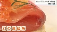「イチゴで育った高級魚」あまおうの成分で爽やかな香りに　宮崎のベンチャーと西鉄が共同開発した「あまおう桜鱒」 