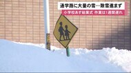 「車が見えない…どうしよう」通学路に