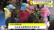 子供たちが大豆を収穫 しょうゆやみその原料に〈宮城・塩釜市〉