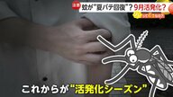 夏の天敵「蚊」も“夏バテ”猛暑落ち着く9月中旬以降に活発化か　対策は「薄い色・明るい色の服やハンディーファン」【ソレどう】