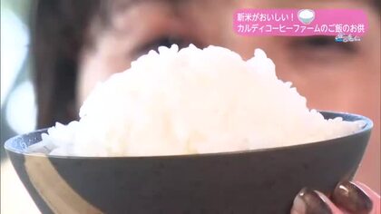 新米の季節・さらに美味しく食べられる「ご飯のお供」をご紹介【トレリン】
