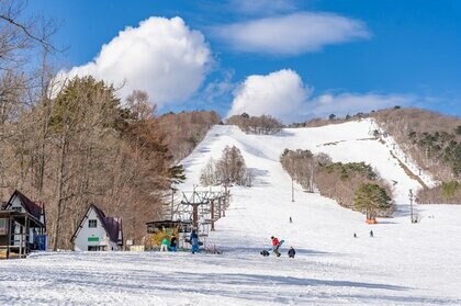 2024年度の「スキー場」倒産、7年ぶりに発生ゼロ 降雪に恵まれオープン日が増加、訪日客増も追い風