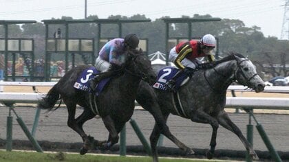 【春GⅠが開幕！高松宮記念】瞬き厳禁　“わずか70秒の決着”　春のスピード王決定戦！