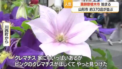 日本三大植木市の1つ「薬師祭植木市」始まる　バラエティ豊かな約370の店立ち並ぶ　山形市