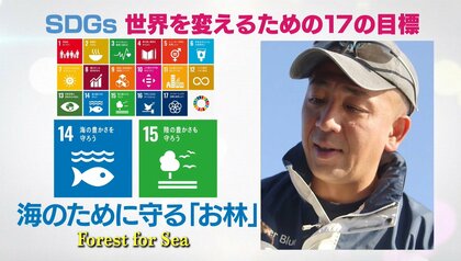 「海の自然を守る上でも貴重な場所」神奈川・真鶴町が江戸時代から大切にしているもの
