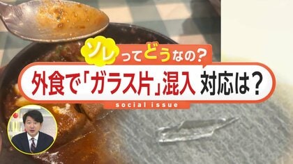 【独自】「ぼく死ぬの？」外食のビーフシチューにガラス片混入、その場で吐き出すも病院検査で胃の中にも破片見つかる　店側は謝罪もその後の対応に不信感