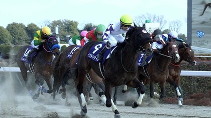 【フェブラリーステークス】 待望の2025年GI開幕！層の厚い日本ダートホースたちが激戦を繰り広げる！