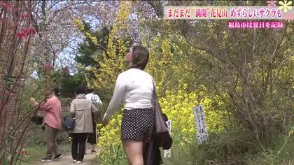 お花見のお供は…冷たいもの！？　福島市で26.8℃の夏日に　花見山の花々も見ごろが早まる