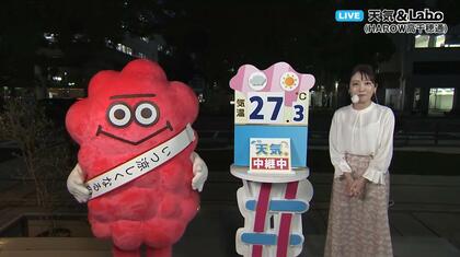 「梅雨」は1年に4回・季節の変わり目ごとに植物にちなんだ「長雨」がある　菜の花・梅・山茶花　あと１つは？　気象予報士が解説