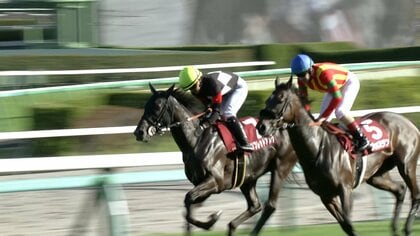 【紫苑S・GⅡ＆セントウルS・GⅡ】紫苑Sはケリフレッドアスクが制す！セントウルSはカンチェンジュンガが重賞2勝目！