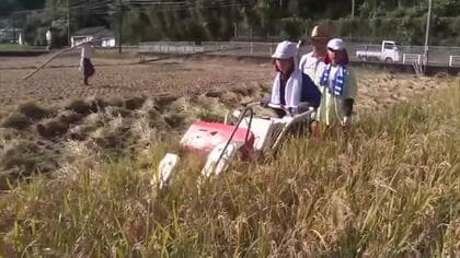 児童たちが地域の人と一緒に稲刈り「ちゃんとお米ができて良かった」「おもちを焼いて食べたい」