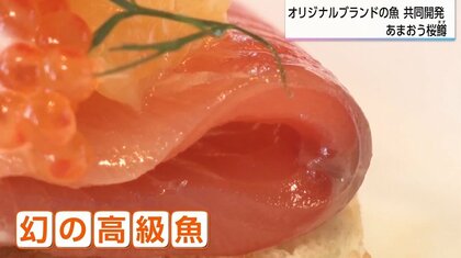 「イチゴで育った高級魚」あまおうの成分で爽やかな香りに　宮崎のベンチャーと西鉄が共同開発した「あまおう桜鱒」 