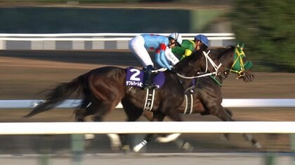 【チャンピオンズカップ・GⅠ】ダブルハートボンド＆坂井瑠星、デビュー以来のコンビが新たな歴史を刻むV！群雄割拠のダート界の新たな“女王”となる