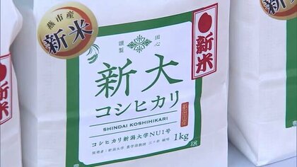 “暑さに強いコメ”販売！約20年かけ開発した新品種の味は…「ほのかな香り・上品な甘さはコシヒカリそのもの」新潟