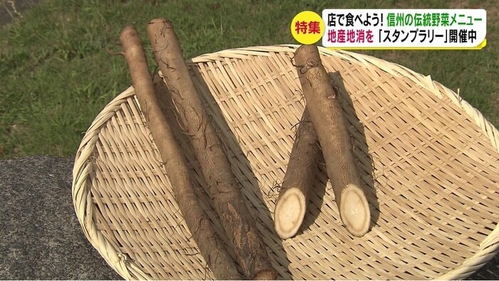 村山早生ごぼう