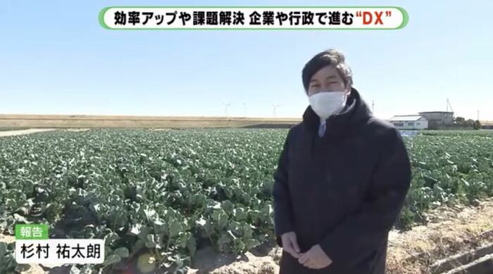 「アイファーム」のブロッコリー畑(浜松市)