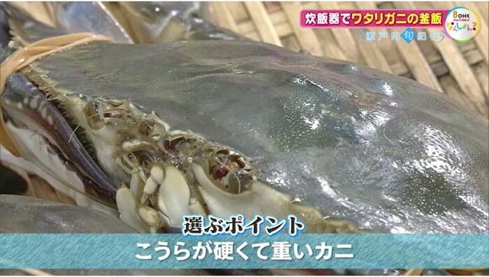 選ぶポイント