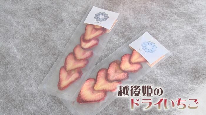 越後姫のドライいちご