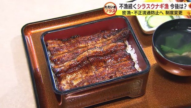 うな重