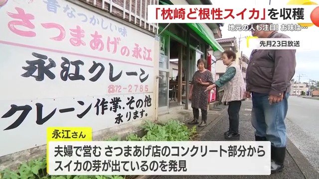 KTSライブニュースで放送（10月23日）