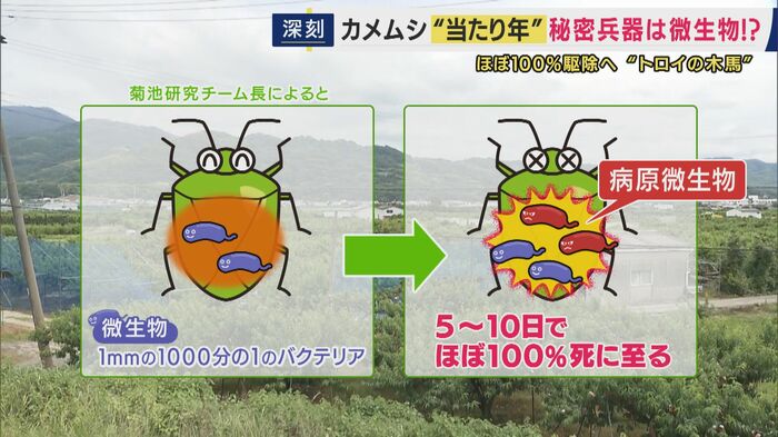 “トロイの木馬”型病原微生物のメカニズム
