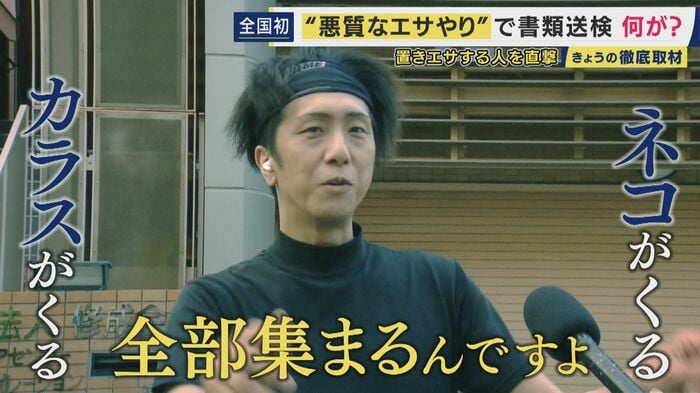 “エサやり行為”を見た人
