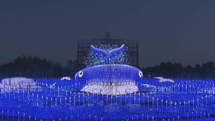 尾ひれをゆらゆらと揺らすクジラが登場