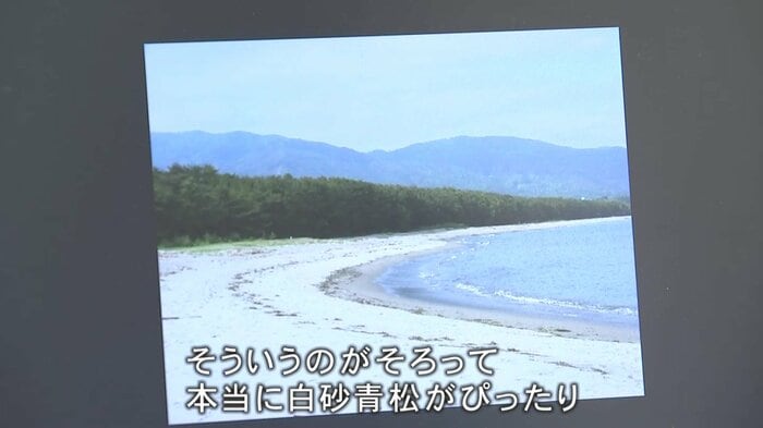 「白砂青松」の景勝地・高田松原