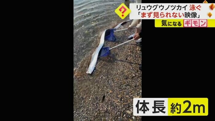 (FNN投稿サイト「ビデオPost」)